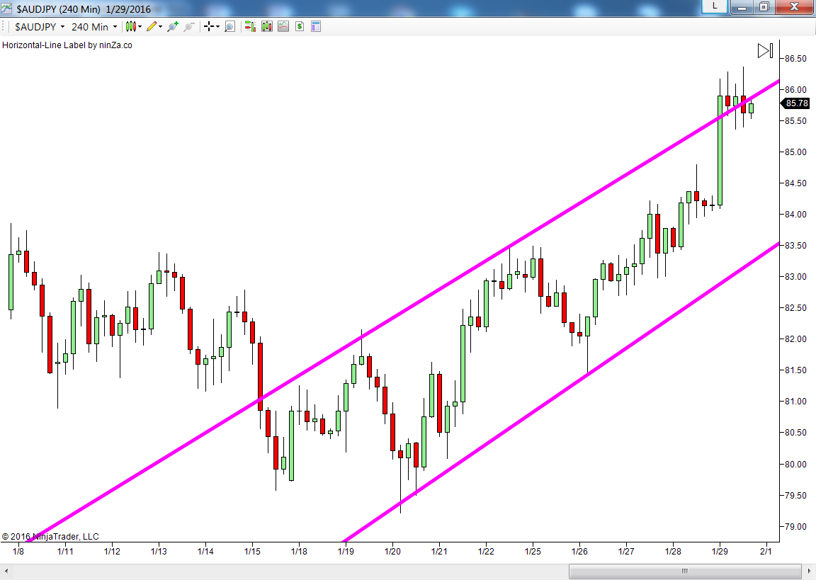 Forex holdings trading education