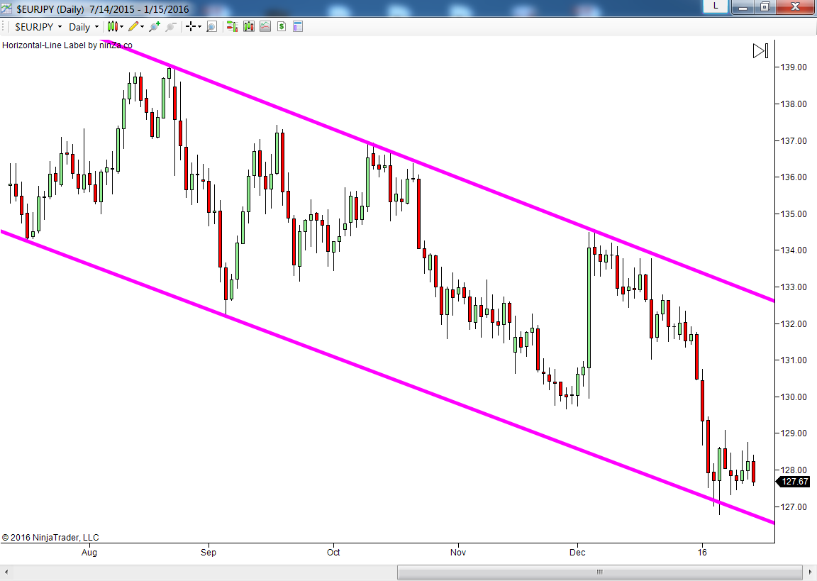 Best forex prediction software