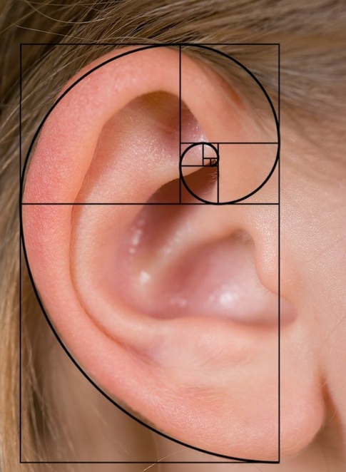 fibonacci_ear