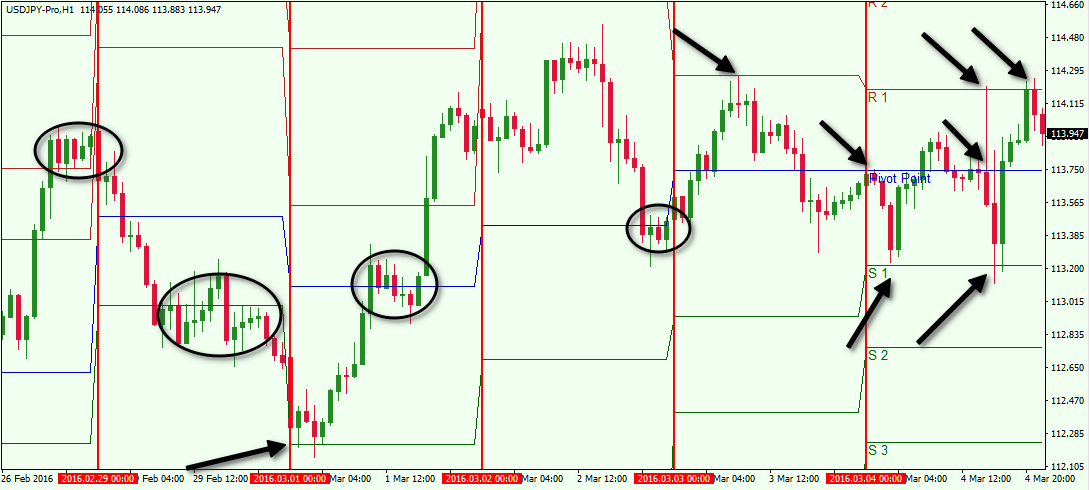 Forex intraday price action