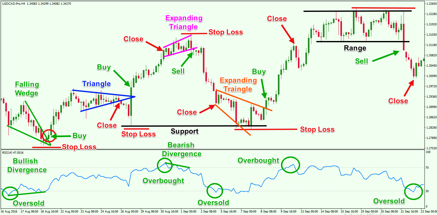 Price action forex daily chart rsi training forex malaysia