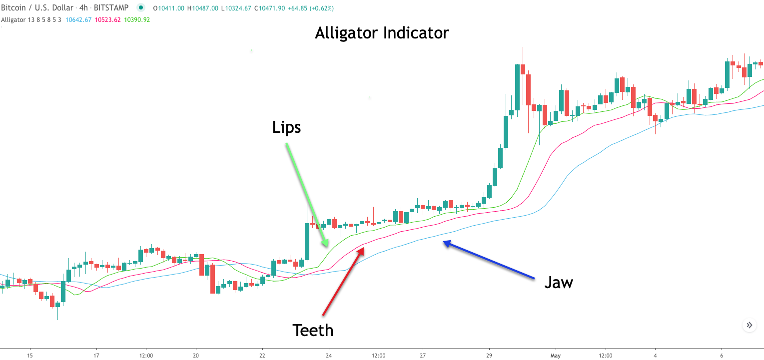 Alligator-Indicator-study
