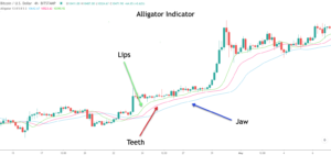 Alligator-indicator