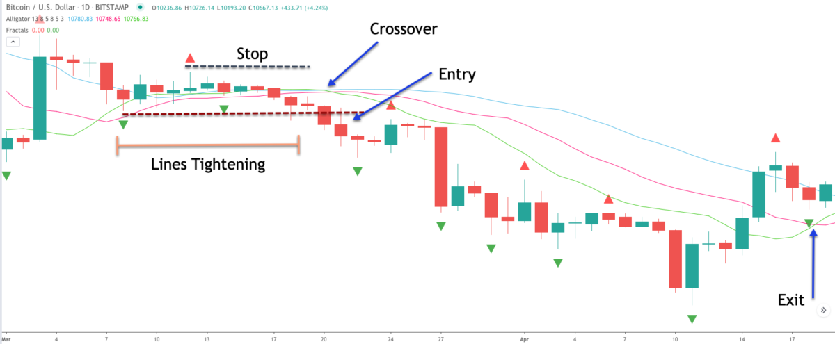 Fractal Indicator Helps Identify Market Turning Points - Forex Training ...