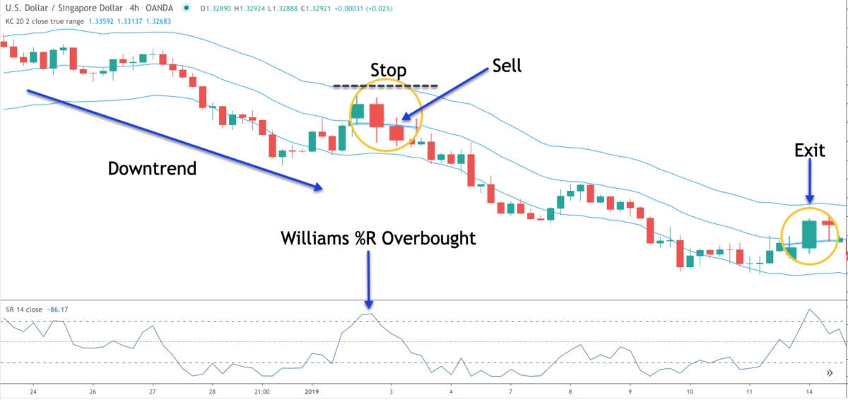 How To Properly Use Williams %R Indicator - Forex Training Group